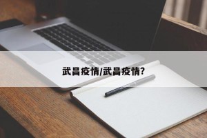 武昌疫情/武昌疫情?