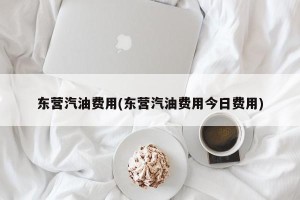东营汽油费用(东营汽油费用今日费用)