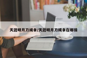 天涯明月刀缉拿/天涯明月刀缉拿在哪接