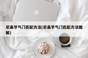 尼桑节气门匹配方法(尼桑节气门匹配方法图解)