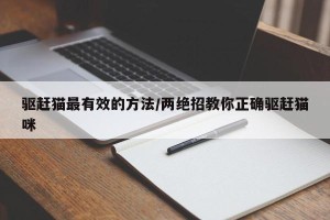 驱赶猫最有效的方法/两绝招教你正确驱赶猫咪
