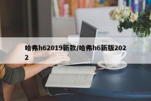 哈弗h62019新款/哈弗h6新版2022