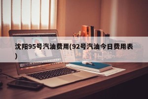 沈阳95号汽油费用(92号汽油今日费用表)