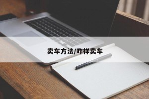 卖车方法/咋样卖车