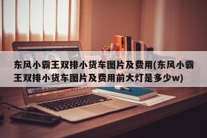 东风小霸王双排小货车图片及费用(东风小霸王双排小货车图片及费用前大灯是多少w)