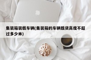 集装箱装载车辆(集装箱的车辆载货高度不超过多少米)