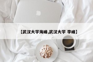 【武汉大学海峰,武汉大学 李峰】