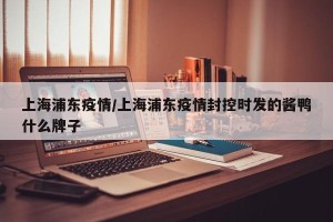 上海浦东疫情/上海浦东疫情封控时发的酱鸭什么牌子