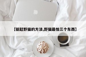 【驱赶野猫的方法,野猫最怕三个东西】