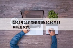 2023年11月新冠高峰(2020年11月新冠反弹)