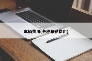 车辆费用(各种车辆费用)